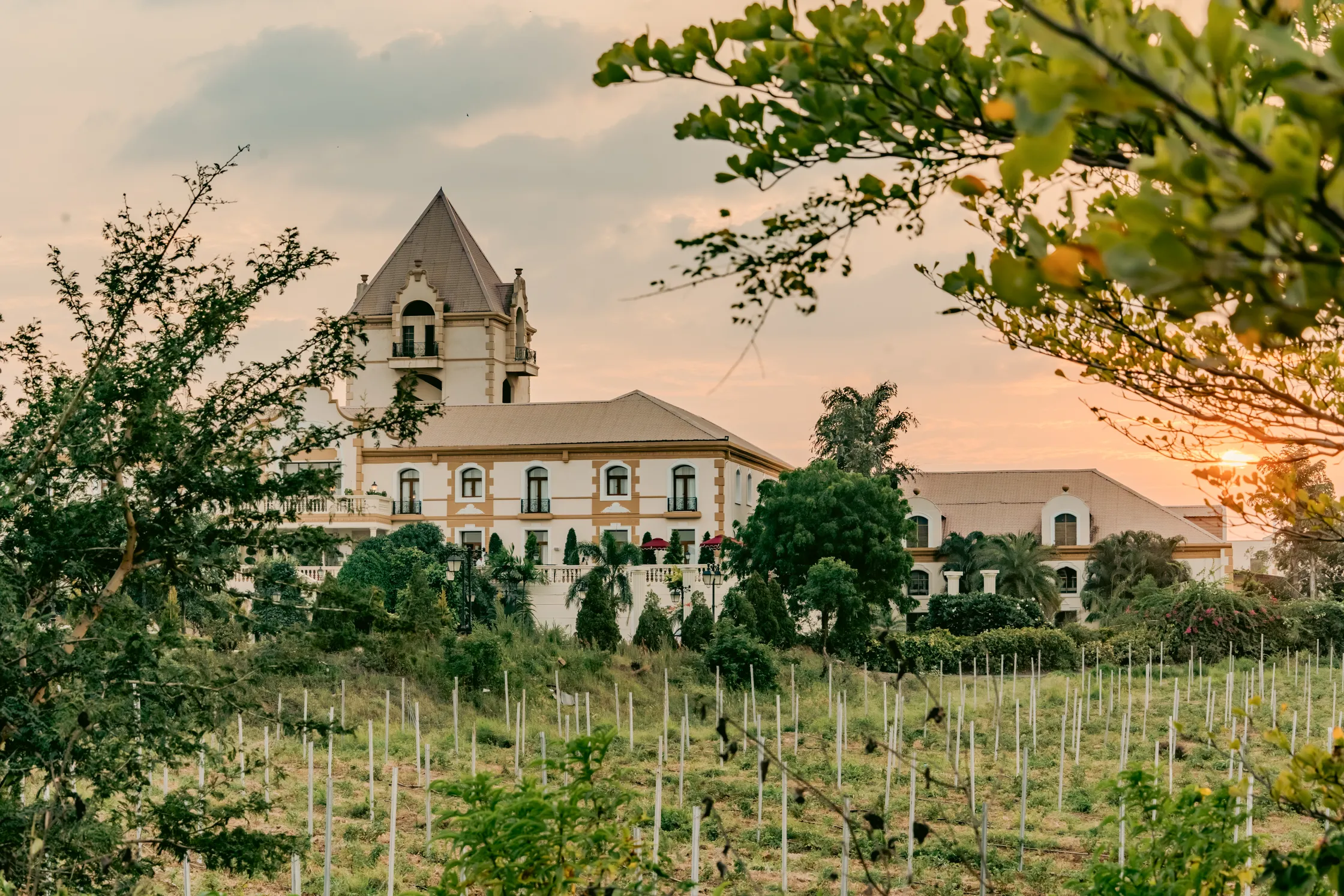 Hotel Irada: A Rockstar's Estate Reborn as India's Most Considered Wine Country Retreat
