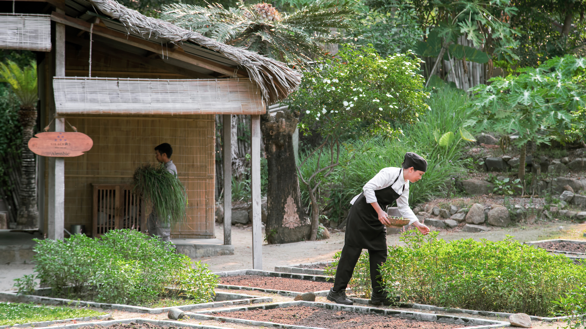 Is Your Next Trip a Catalyst for Change?